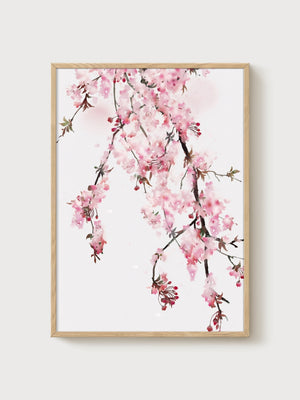 Cherry Blossom Watercolor Art Print poster in oak frame