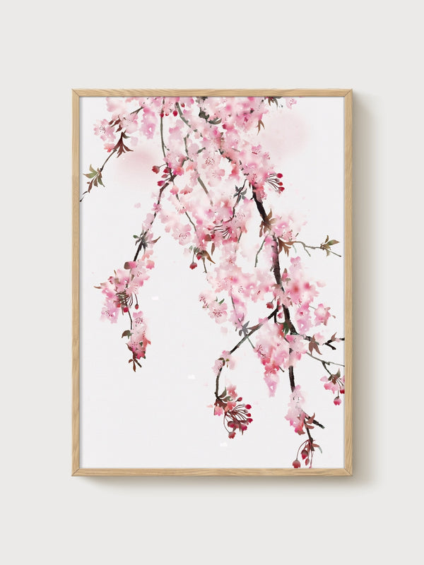 Cherry Blossom Watercolor Art Print poster in oak frame