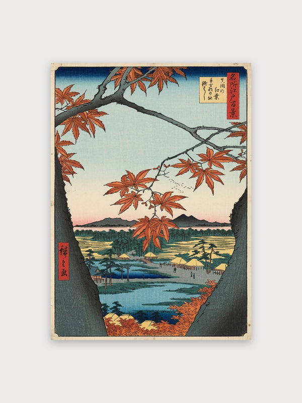 Japanese Autumn Maple Landscape - Digital Download