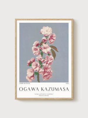Ogawa Kazumasa Cherry Blossom Art Nouveau Poster poster in oak frame