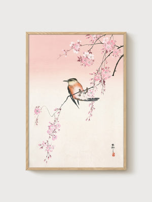Cherry Blossom Bird Art Print poster in oak frame