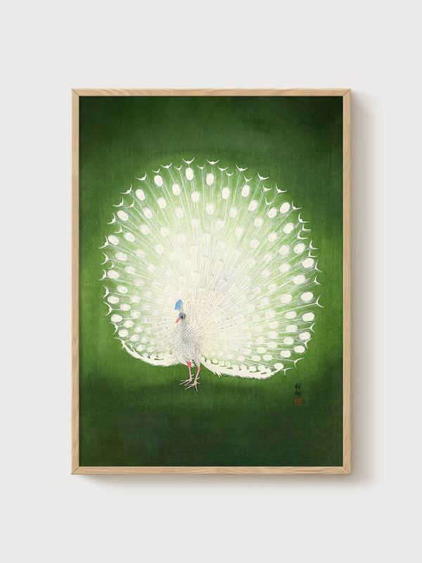 White Peacock Japanese Woodblock Print poster in oak frame