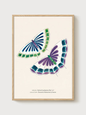 Butterfly Wall Art poster in oak frame