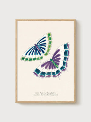 Butterfly Wall Art poster in oak frame