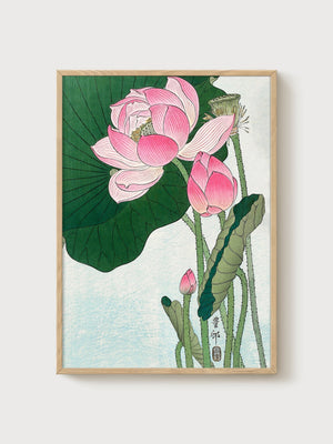 Lotus Flower Print poster in oak frame