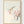 Cherry Blossom and Bird Painting poster in oak frame