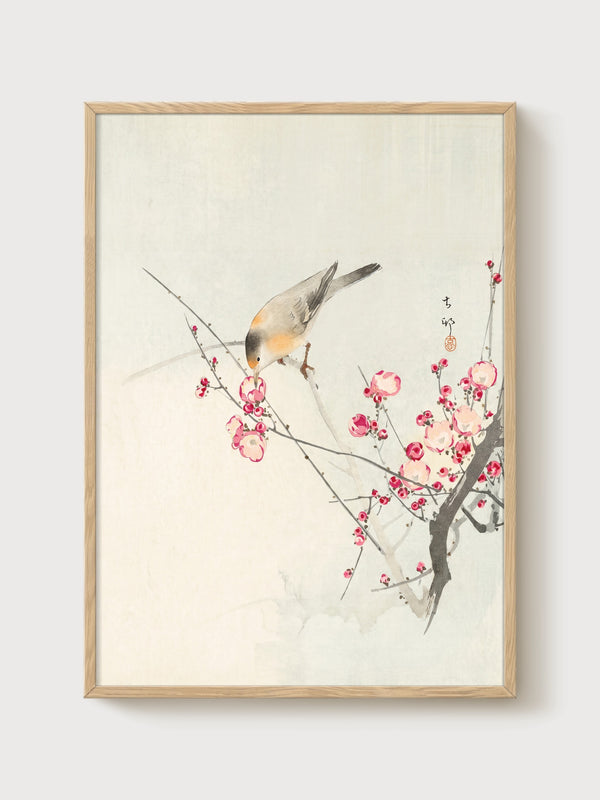 Cherry Blossom and Bird Painting poster in oak frame