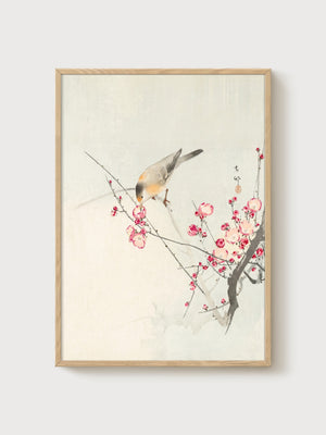 Cherry Blossom and Bird Painting poster in oak frame
