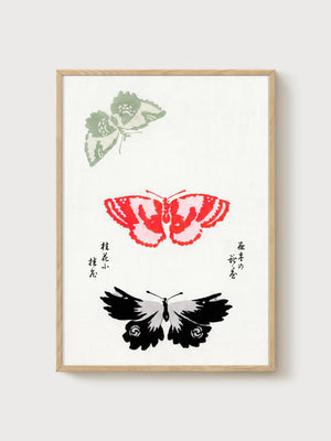 Japanese Butterfly Print poster in oak frame