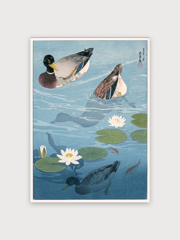 Japanese Woodblock Ducks and Lotus - Digital Download