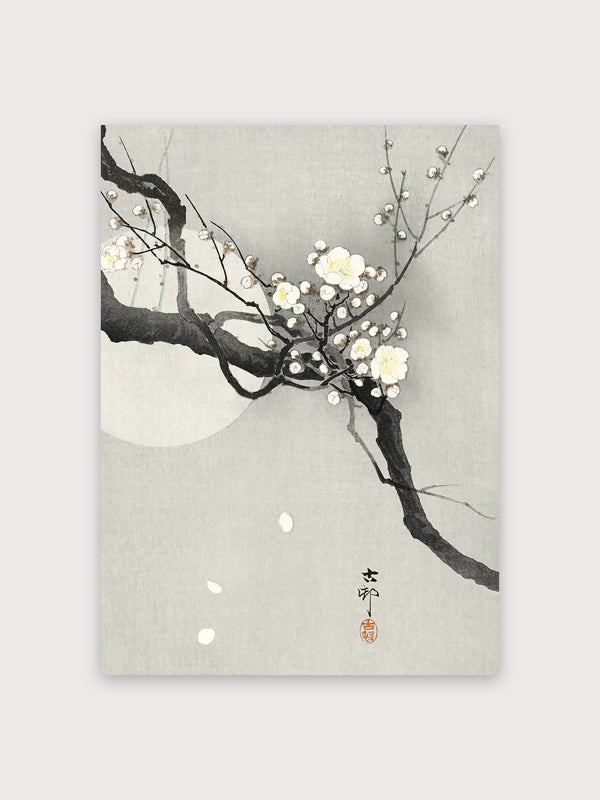 Plum Blossoms Moonlit Branch - Digital Download