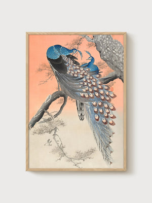 Japanese Peacock Woodblock Print poster in oak frame