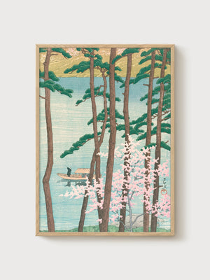 Cherry Blossom Art Print poster in oak frame