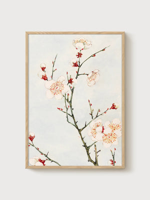 Plum Blossom Watercolor Print poster in oak frame