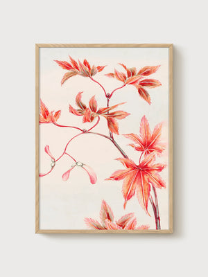 Japanese Maple Leaves Botanical Wall Art poster in oak frame