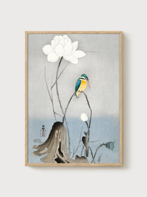 Kingfisher and Lotus Japanese Art Print poster in oak frame