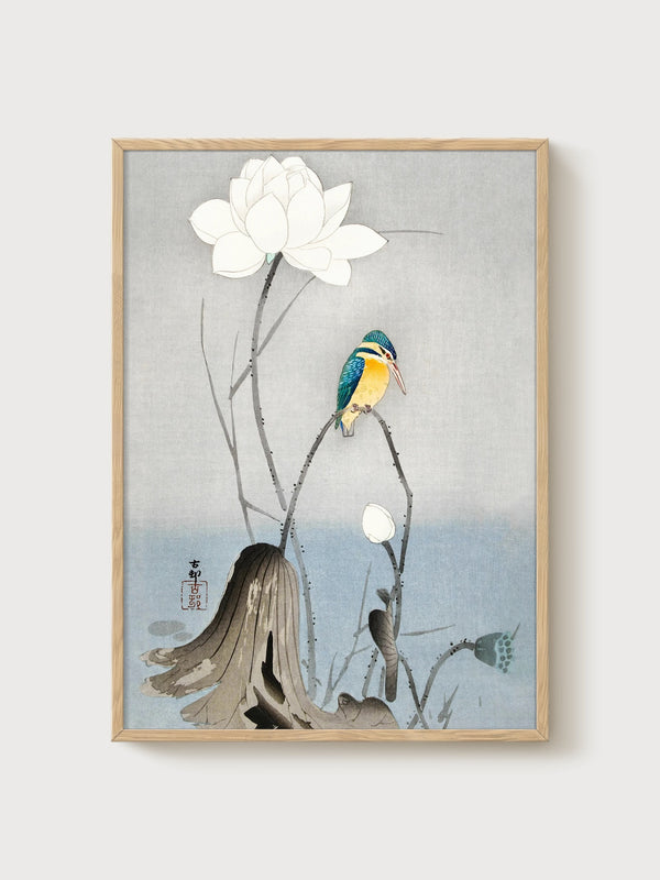Kingfisher and Lotus Japanese Art Print poster in oak frame