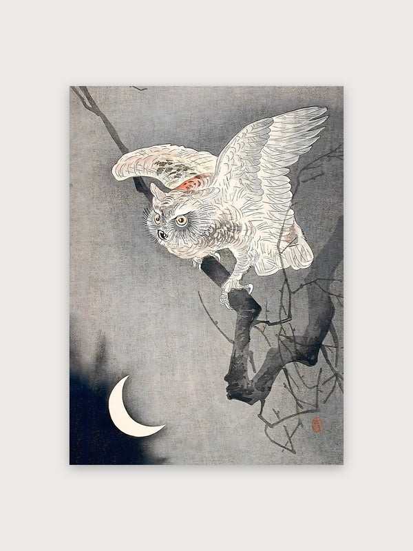 White Owl Night Moon Branch - Digital Download
