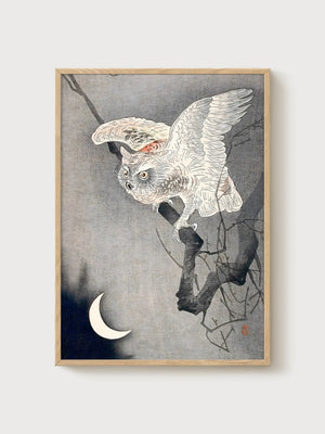 Owl Wall Art poster in oak frame