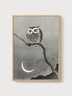 Owl Wall Art poster in oak frame