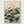 Lotus Flower Poster poster in oak frame