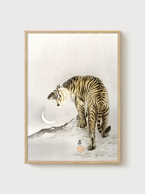 Tiger Poster poster in oak frame