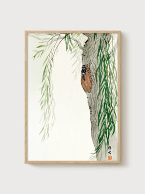 Willow Tree Cicada Print poster in oak frame