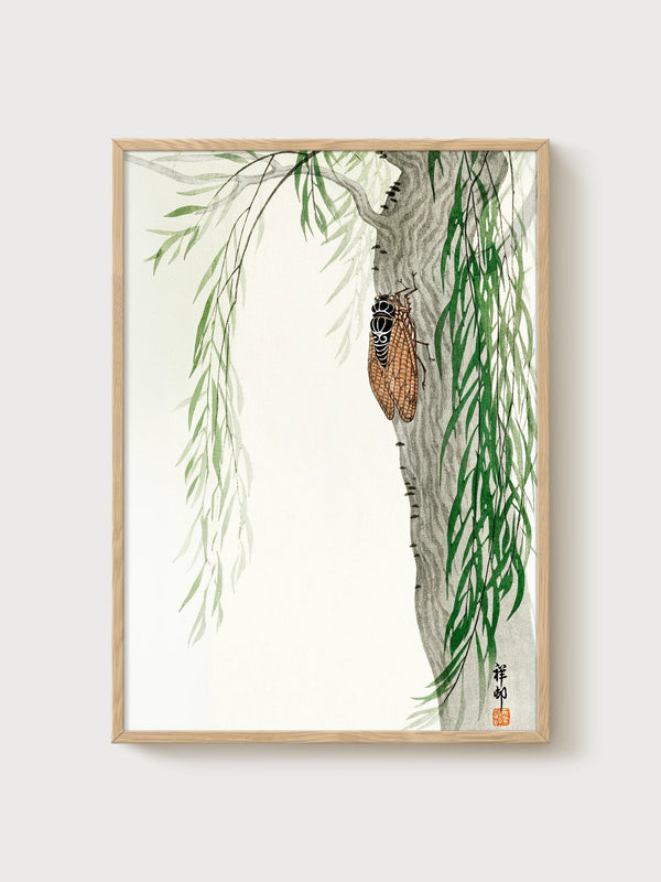 Willow Tree Cicada Print poster in oak frame