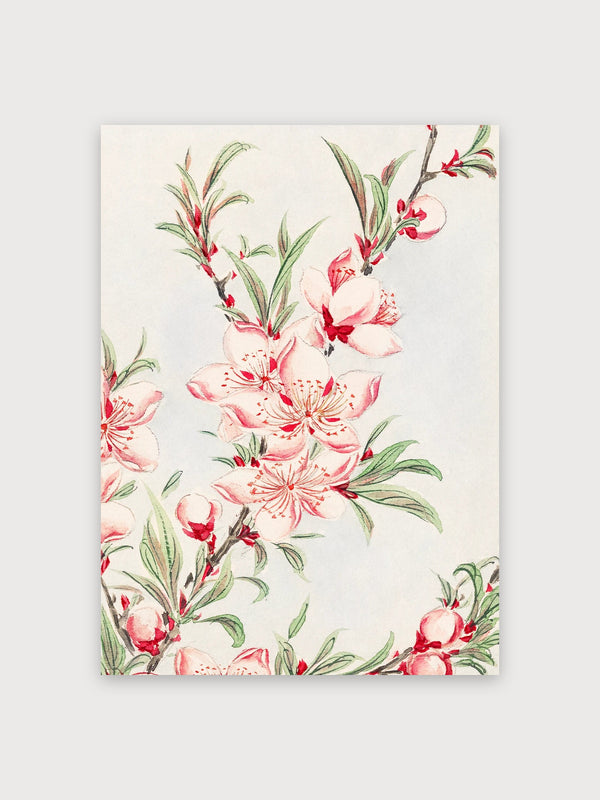 Red Flowering Plant Botanical Study - Digital Download