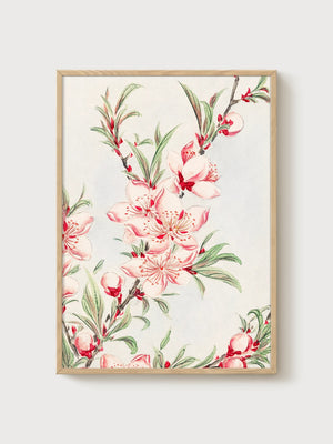 Peach Blossom Watercolor Painting poster in oak frame