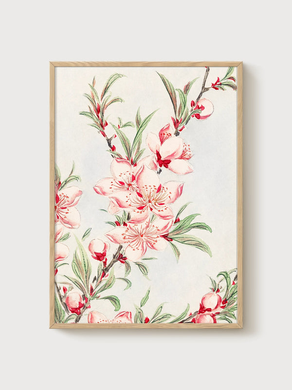 Peach Blossom Watercolor Painting poster in oak frame