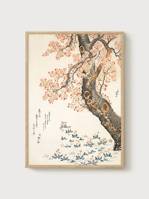 Cherry Blossom Print poster in oak frame