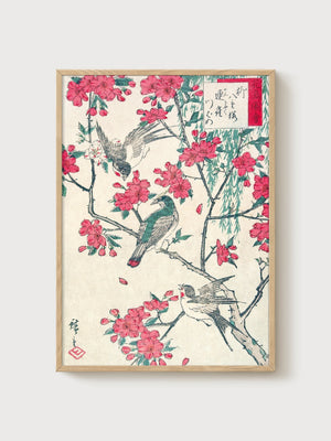 Japanese Woodblock Cherry Blossom Print poster in oak frame