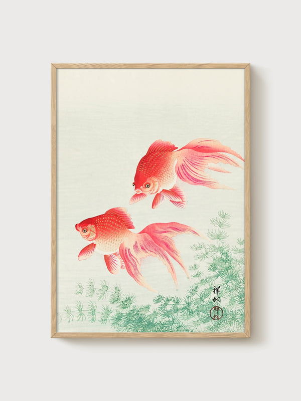 Koi Fish Wall Art poster in oak frame