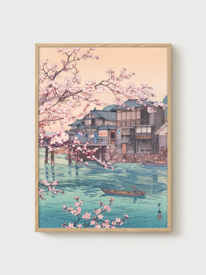 Cherry Blossom Print poster in oak frame