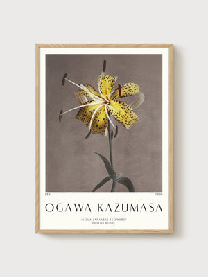 Ogawa Kazumasa Lily Poster poster in oak frame