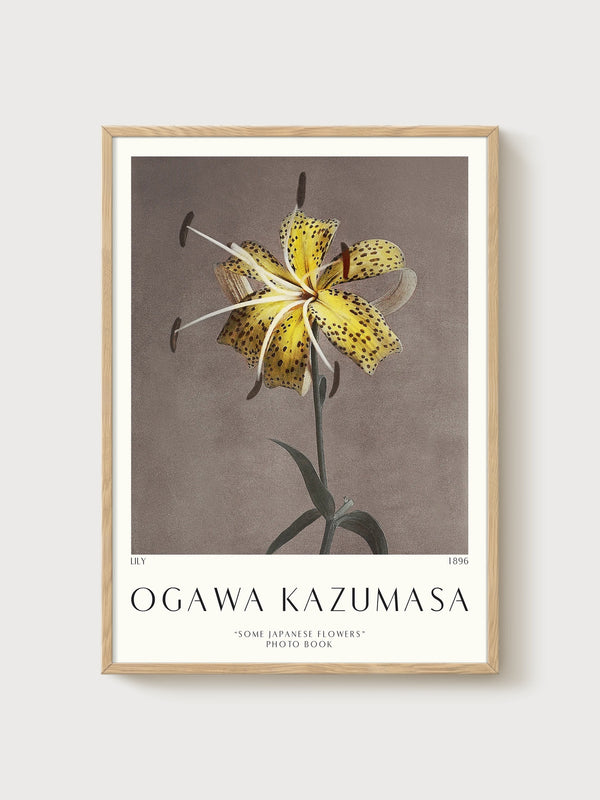 Ogawa Kazumasa Lily Poster poster in oak frame