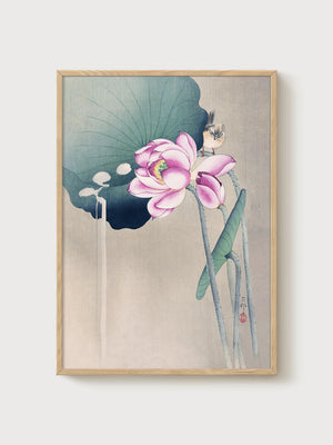 Lotus Flower Bird Painting poster in oak frame