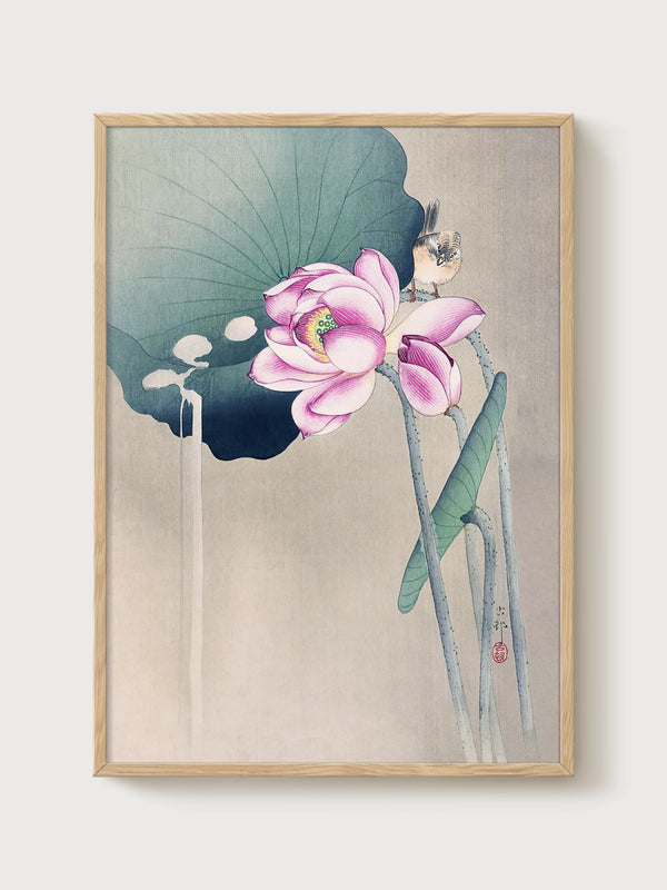 Lotus Flower Bird Painting poster in oak frame