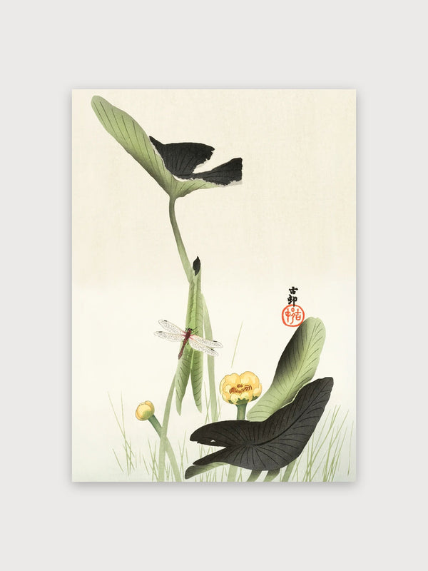 Japanese Botanical Study Dragonfly Butterfly - Digital Download