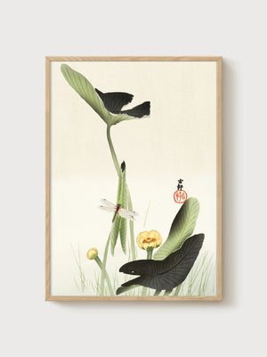 Ito Jakuchu Dragonfly Poster poster in oak frame