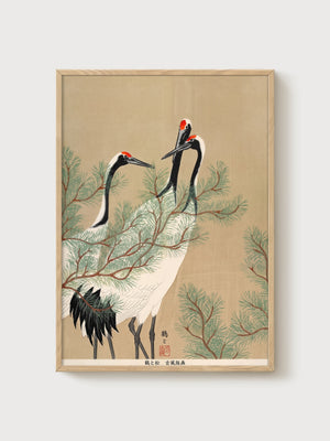 Crane and Pine Poster poster in oak frame