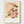 Ogawa Kazumasa Striped Camelias Art Print poster in oak frame