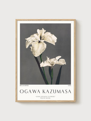 Ogawa Kazumasa Iris Print poster in oak frame