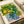 Framed nature-inspired poster showing a lemon plant in a cobalt blue planter, combining retro styling with Japandi minimalism in warm cream, green, and yellow tones.