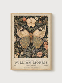 Morris Butterfly