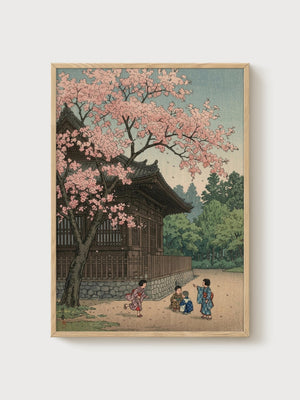 Japanese Temple Cherry Blossom Print poster in oak frame