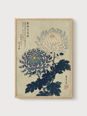 Japanese Chrysanthemum Print poster in oak frame