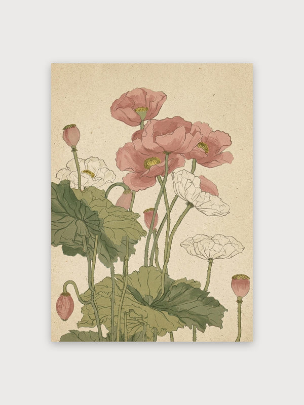 Vintage Poppy Print - Digital Download