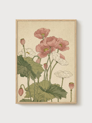 Vintage Poppy Print poster in oak frame